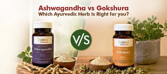 Ashwagandha vs Gokshura: Which Ayurvedic Herb Is Right for You?