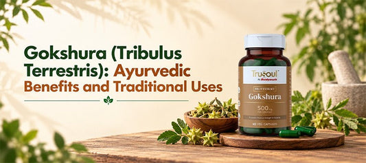 Gokshura (Tribulus Terrestris): Ayurvedic Benefits and Traditional Uses