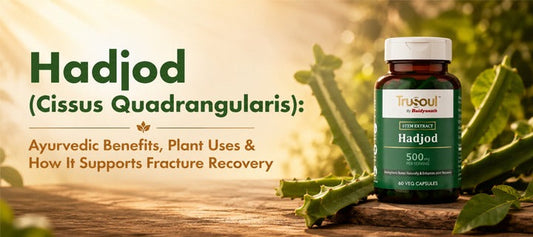 Hadjod (Cissus Quadrangularis): Ayurvedic Benefits, Plant Uses & How It Supports Fracture Recovery