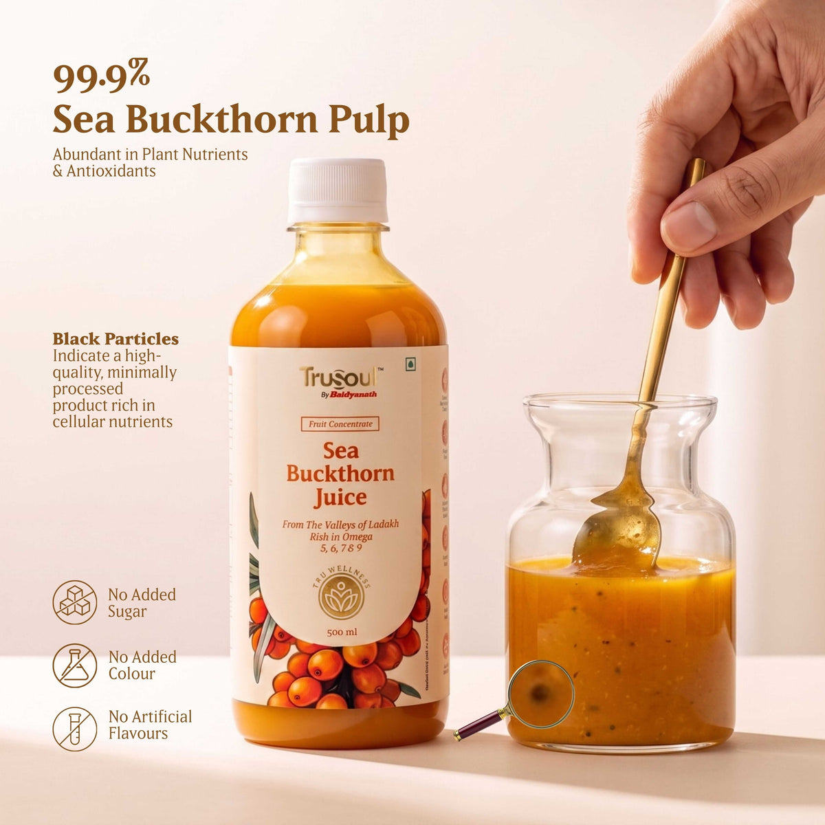 TruSoul By Baidyanath Sea Buckthorn Juice 500ml | Rich in Omega 3, 6, 7 & 9