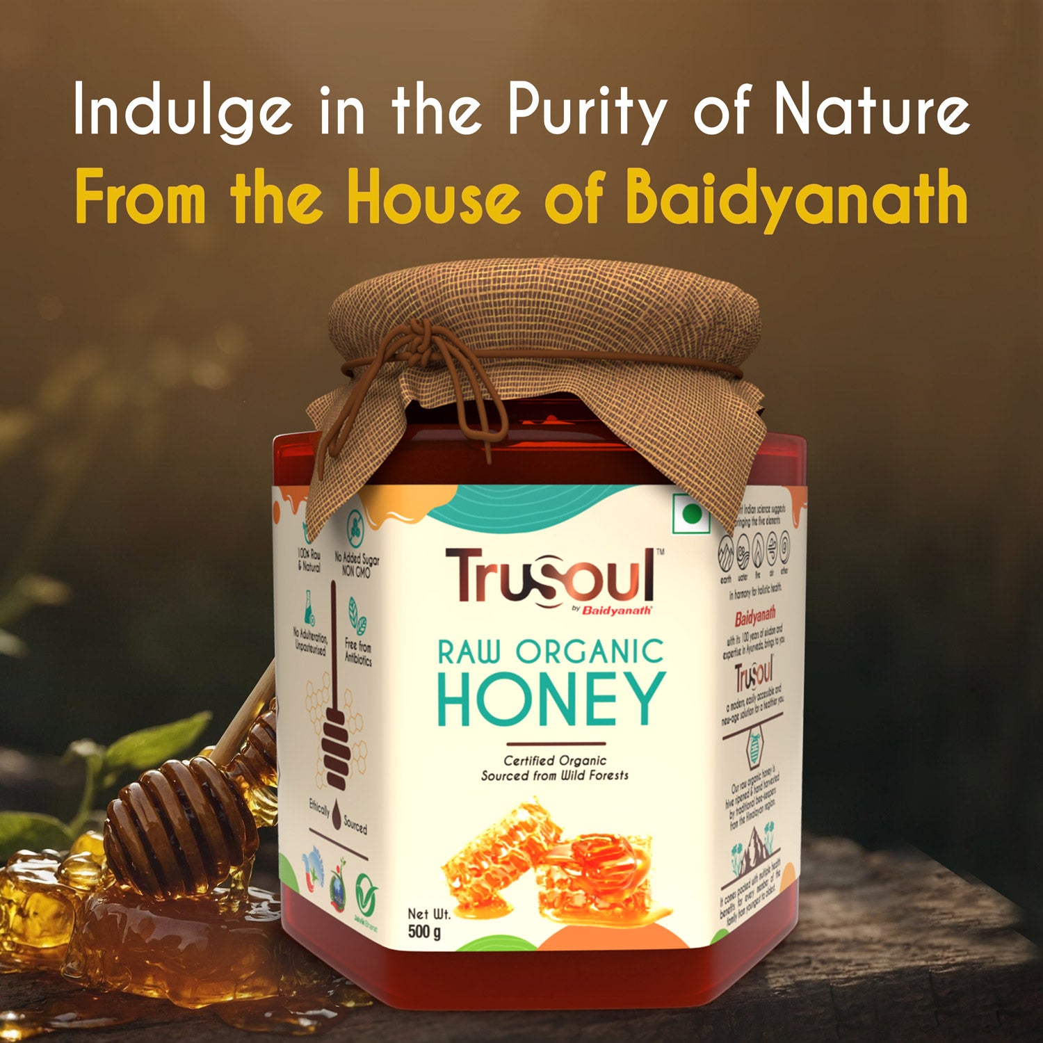 TruSoul Raw Organic Honey, 500gm (Glass Bottle)| Certified Organic Honey sourced from Himalayas