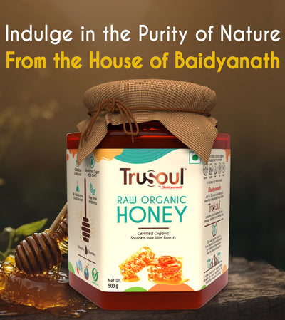 TruSoul Raw Organic Honey, 500gm (Glass Bottle)| Certified Organic Honey sourced from Himalayas