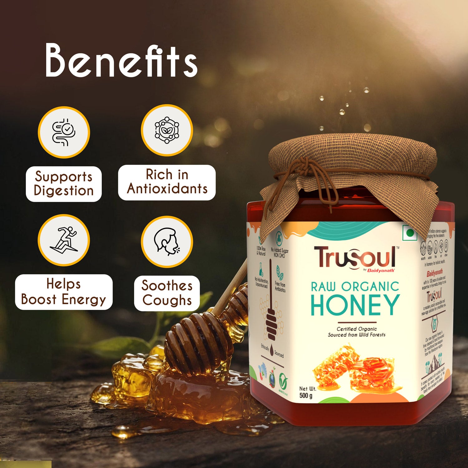 TruSoul Raw Organic Honey, 500gm (Glass Bottle)| Certified Organic Honey sourced from Himalayas