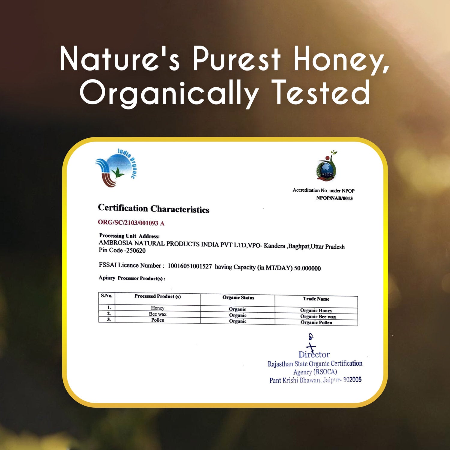TruSoul Raw Organic Honey, 500gm (Glass Bottle)| Certified Organic Honey sourced from Himalayas