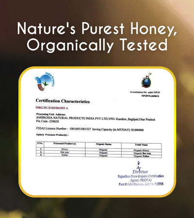 TruSoul Raw Organic Honey, 500gm (Glass Bottle)| Certified Organic Honey sourced from Himalayas