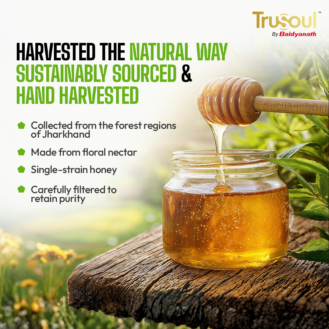 Pure & Natural Tulsi Honey- 500gm | Natural Immunity Booster | Raw & Unprocessed Honey | Forest Honey